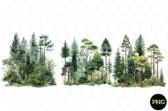 Watercolor Forest Tree Clipart , Watercolor Clipart Product Image 1