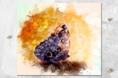 Watercolor Butterfly | skinny tumbler Sublimation bundle Product Image 7