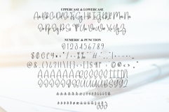 Birmigham Signature Product Image 7