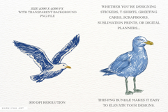 Hand-Drawn Summer Seagull Clipart Product Image 2