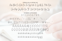 Diskey Signature Product Image 7