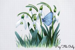 Snowdrops Clipart Bundle PNG Product Image 8