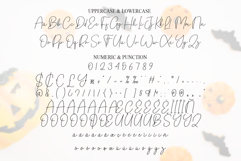 Pumpkin Signature Product Image 7