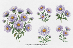 15 Bundle Watercolor Aster Flower Blossom Floral Bouquet Product Image 7
