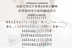 Designer Product Image 7