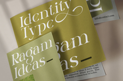 Dalnite - Modern Luxury Serif Font Product Image 7