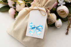Watercolor Cloudy Sky Coquette Bow Clipart Product Image 7