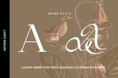 Astera Casty - Luxury Serif Font Product Image 7