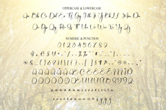 Sunshine Product Image 7