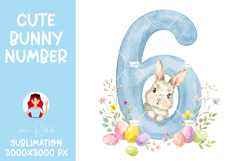 Easter Bunny Number 0-9 PNGs,Baby Shower Sublimation Design Product Image 8