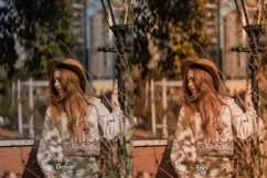 30 Fall Fantasy Video LUTs Product Image 7