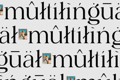 Juliette Family Serif 12 Fonts Product Image 7