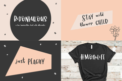 The Smooth Cutting Crafty Font Bundle Product Image 7