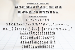 Milkshake Product Image 7