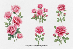 15 Bundle Watercolor Pink Rose Love Romantic Couple Feminine Product Image 7