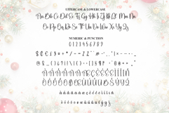 Christmas Product Image 7