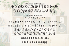 Vintage Product Image 7