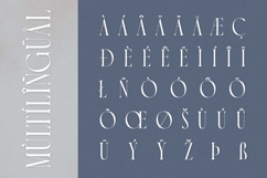 Luxoorea - Stylish Display Serif Product Image 7