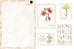 Watercolor Field Flowers Collection Bundle Product Image 9