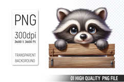 Cute Raccoon Clipart PNG, Printable Animals, Wildlife Design Product Image 1