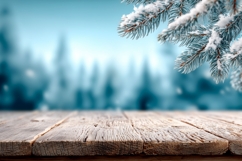Winter Pine Branch Background, Winter Forest Background PNG Product Image 1