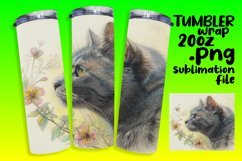 Cat Comedy in Artistic Wraps Product Image 1