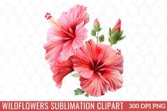 Wildflowers Sublimation Clipart Product Image 1