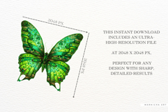 St Patricks Day Butterfly Clipart Product Image 7