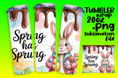 SLEEK 20oz PNG Tumbler Artwork , Easter Bunny Product Image 1