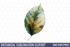 Botanical Sublimation Clipart Product Image 1