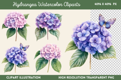Hydrangea Watercolor Cliparts Bundle PNG Product Image 8