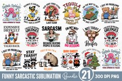 Funny Sarcastic Sublimation Quotes Bundle PNG Product Image 1