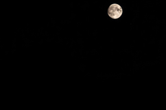 Full Moon Black Background Product Image 1