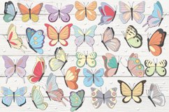 Butterflies  Product Image 2