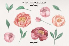 Peony 12 Watercolor Elements Hand Painted Peach Pink Floral Product Image 3