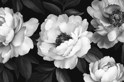 White Flowers with Dark Background Wallpaper Product Image 1