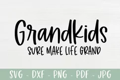 Grandkids Sure Make Life Grand SVG, Grandparent SVG Product Image 2