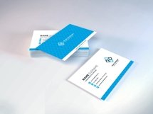 Business Card Mockup Template Bundle Vol 1 Product Image 9