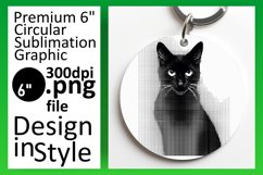 Colorful Kitty Art: Circle &amp; Coaster Joy Product Image 1