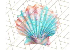Coral and Aqua Summer Clipart PNG Pastel Tropical Icons Product Image 3