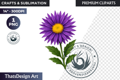 Flower Clipart PNG, Botanical Illustration Floral graphic Product Image 1