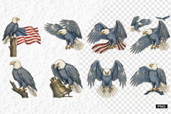 Patriotic American Eagle Clipart Product Image 1
