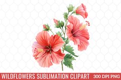 Wildflowers Sublimation Clipart Product Image 1