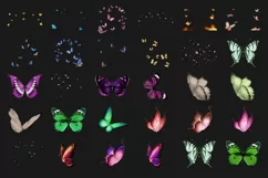 100 BUTTERFLIES TRANSPARENT PNG FILES, PHOTOSHOP OVERLAYS Product Image 9