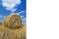 straw stack Product Image 1