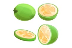 Feijoa icons set, cartoon style Product Image 1