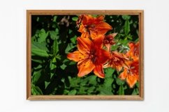 Lilies - Wall Art - Digital Print - Home Decor Product Image 3