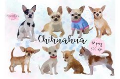 Watercolor Chihuahua Png clipart Product Image 1
