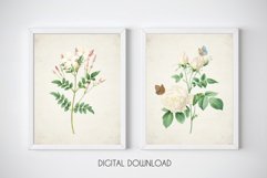 Vintage Flowers Downloads, Botanical Print Set of 2 Product Image 1