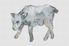 Farm animals lamb Watercolor png Product Image 5